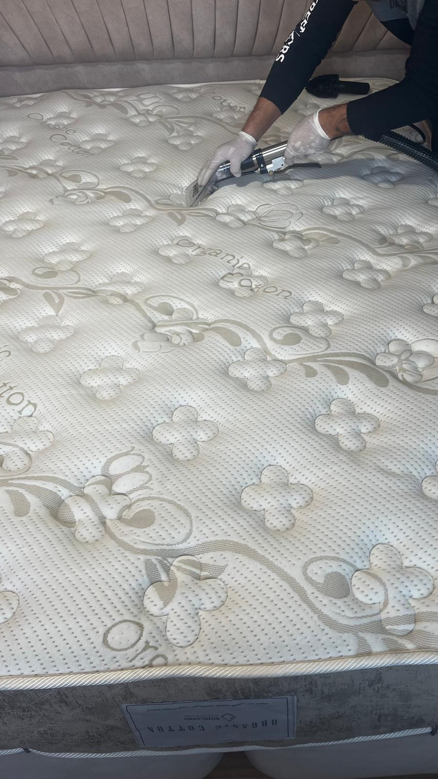 Çınar Buharlı Yıkama